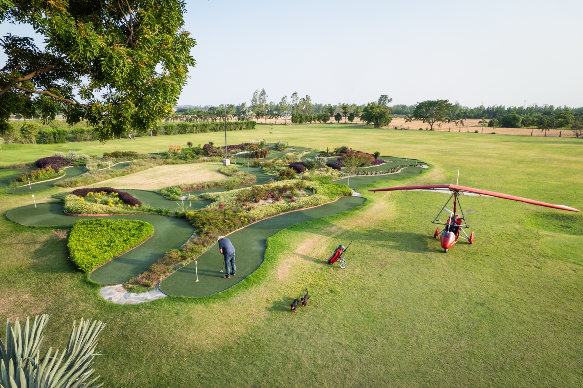 The nine-hole mini golf course winding through flower beds on the farm, a guest putting and two dogs on the grass